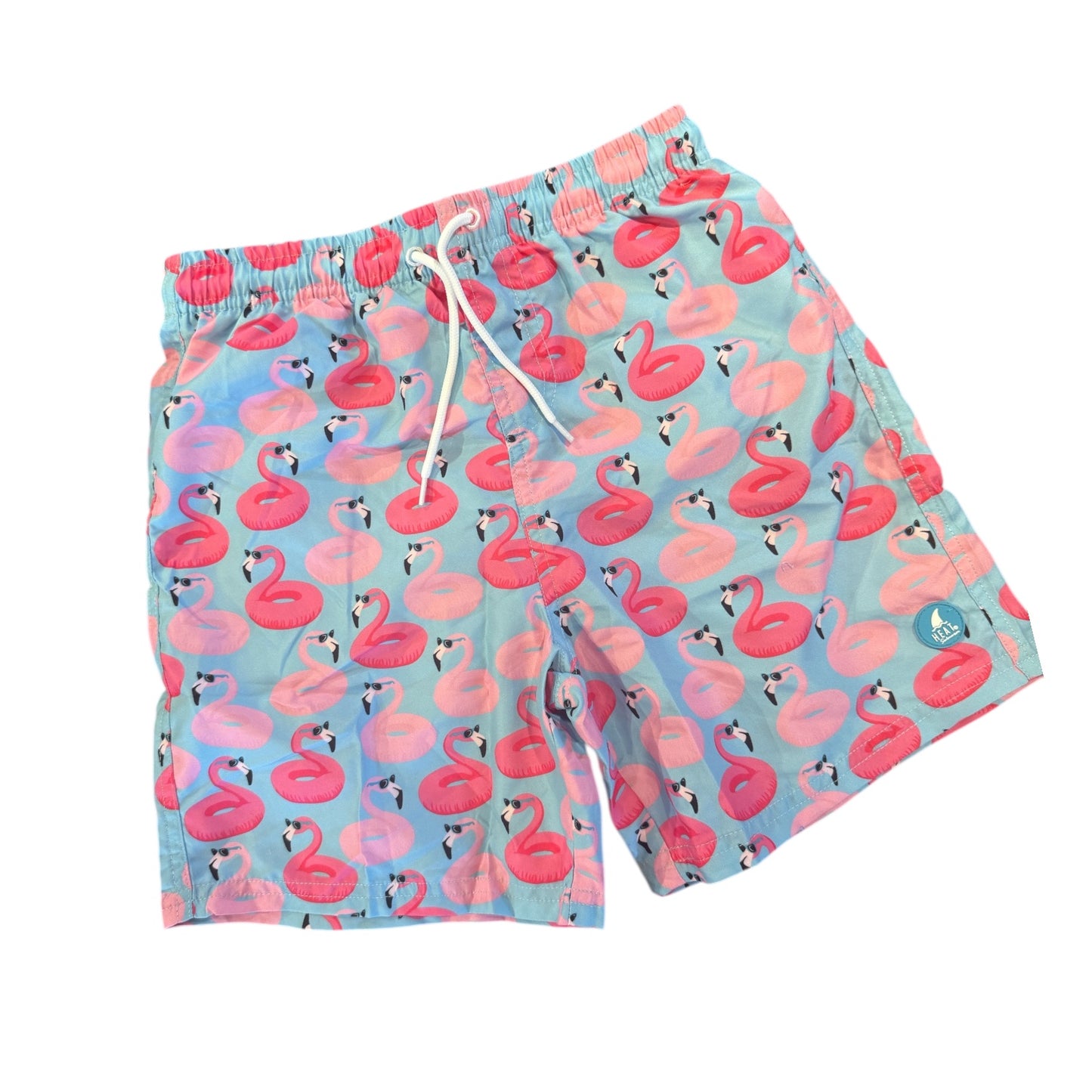 Boys Floating Flamingo Bathing Suit