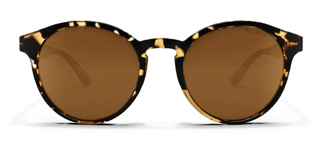 A close up, front view of the Tort Blenders Sunglasses showcasing the gloss tan tortoise frame and polarized PureBlend™ amber lenses of the sunglasses.