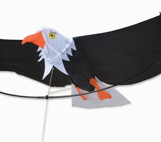 Kites