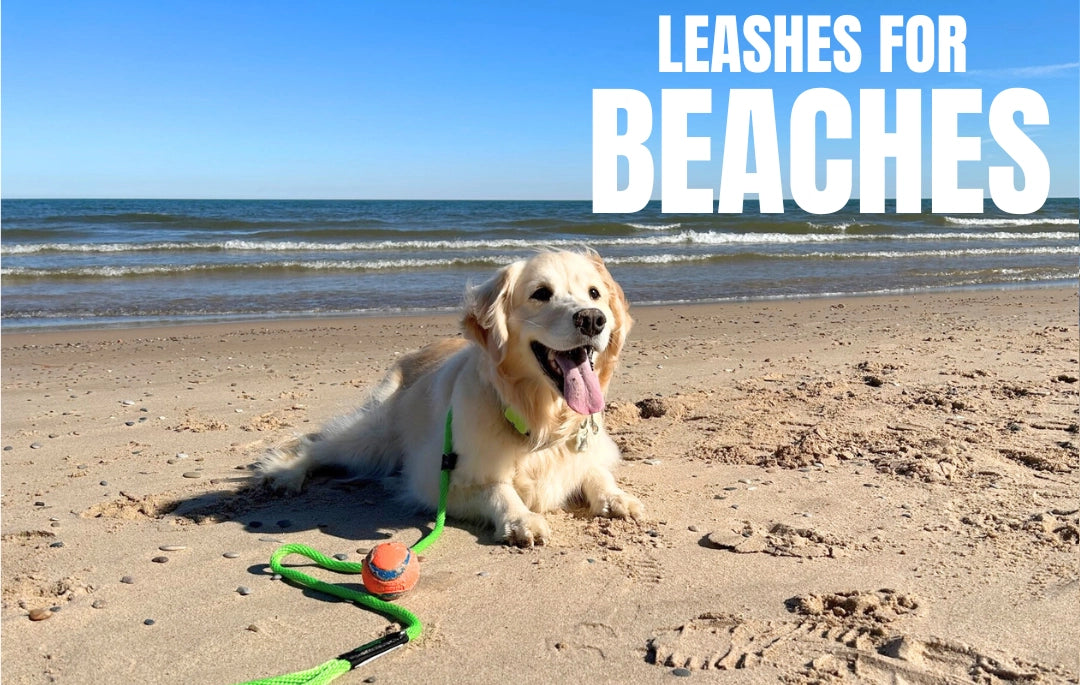 SNP Beach Dog Lead – 15' Floating Leash