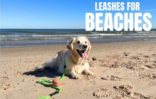 SNP Beach Dog Lead – 15' Floating Leash