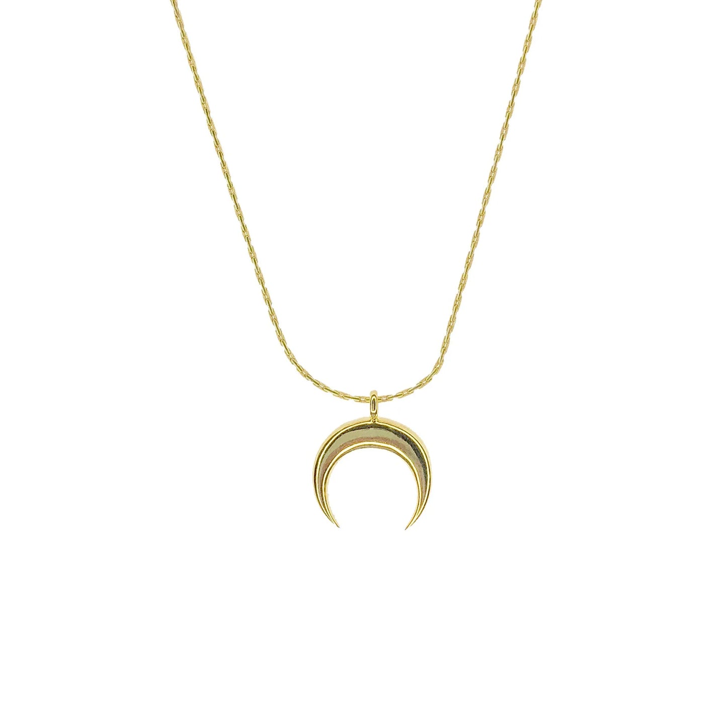 Horn Necklace - Salty Pendants