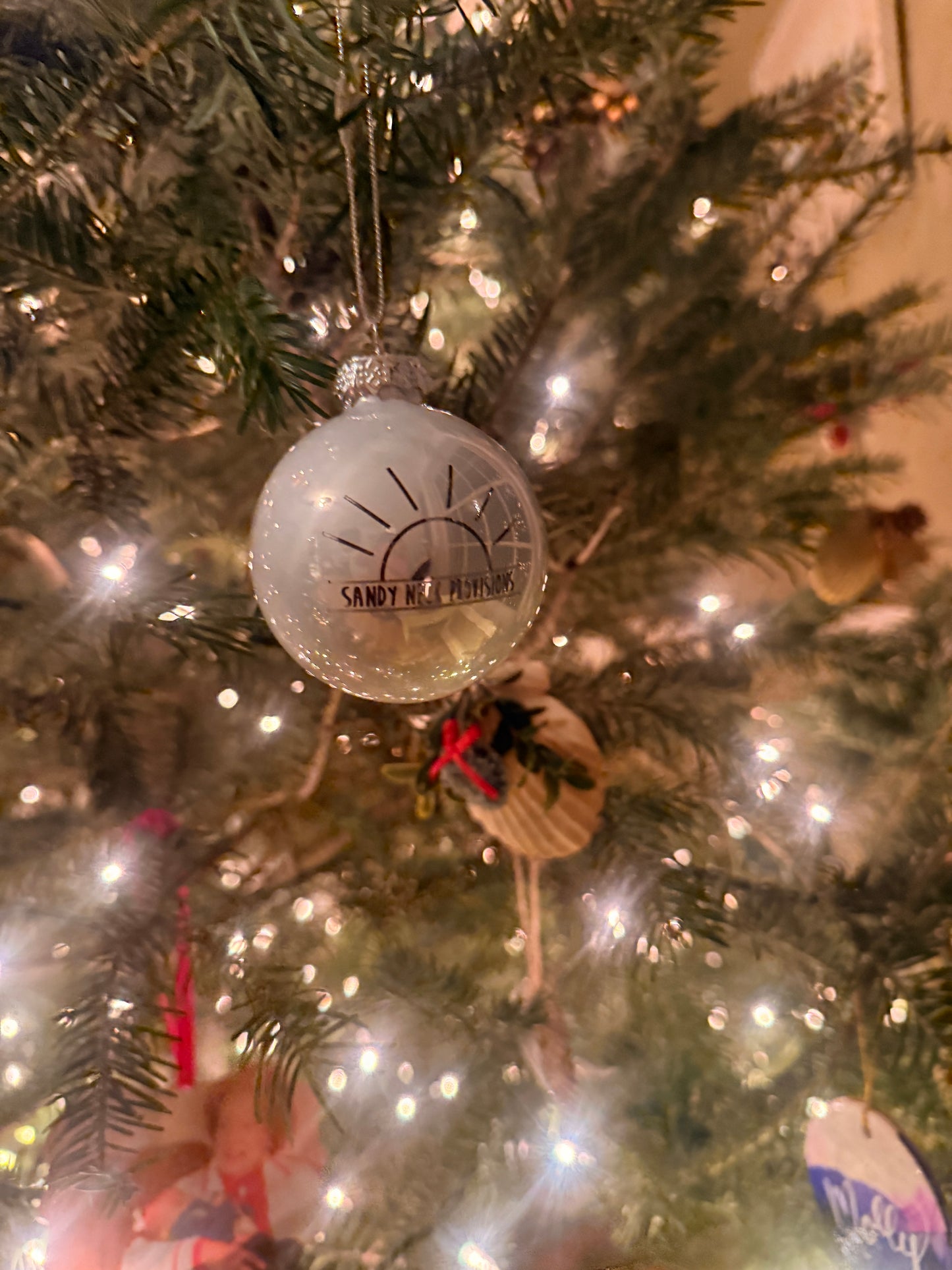 SNP Ornaments