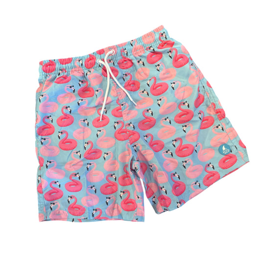 Boys Floating Flamingo Bathing Suit